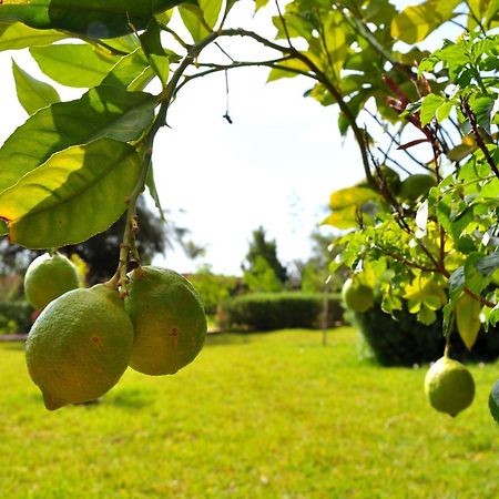Riad Hamdani Derroua Ngoại thất bức ảnh