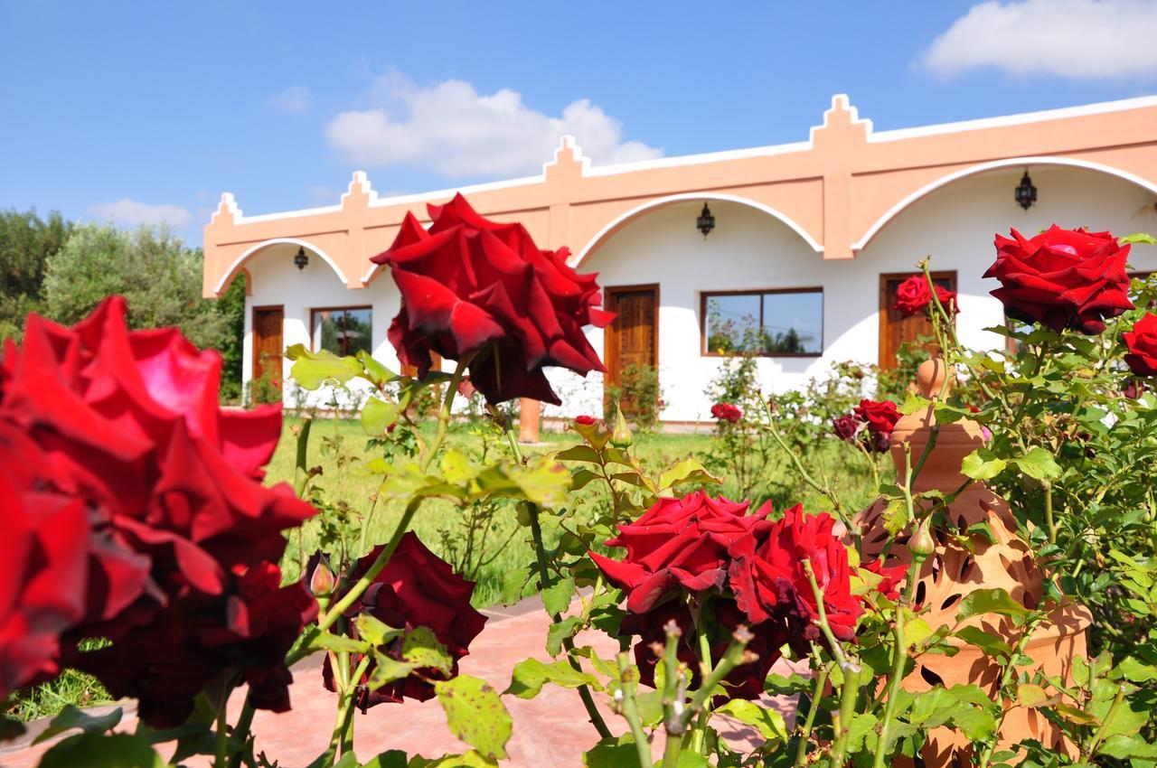 Riad Hamdani Derroua Ngoại thất bức ảnh