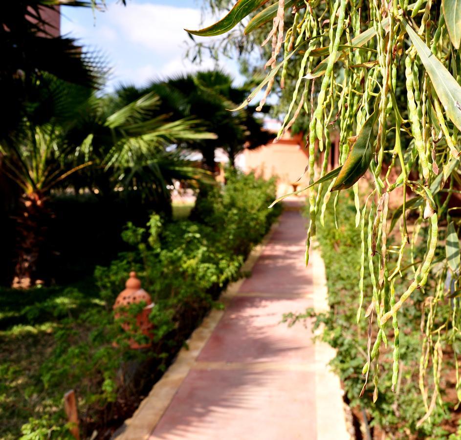 Riad Hamdani Derroua Ngoại thất bức ảnh